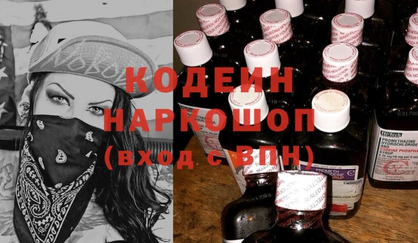 молекула духа Пересвет