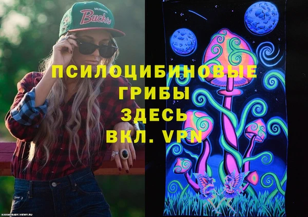 спиды Дегтярск