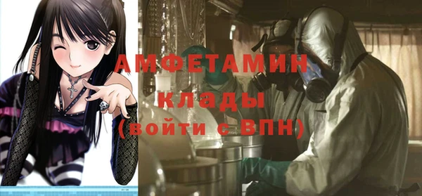 молекула духа Пересвет